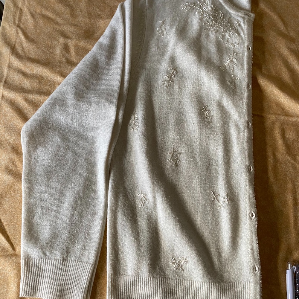 Long Sleeved light Beige embroidered Jacket